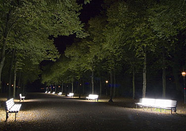beleuchtete Bnke im Hofgarten