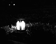 Grablichter in Dunkler Friedhofslandschaft